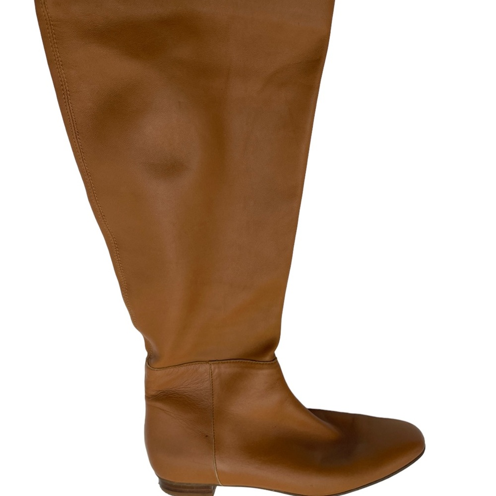Delman Women's Tall Leather Boots - Brown